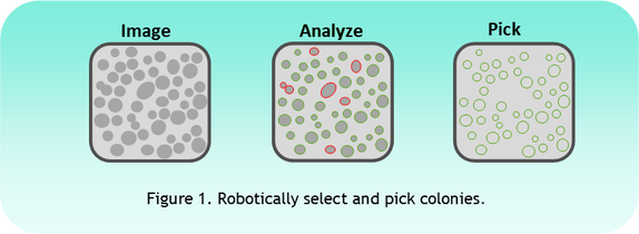 Colony Picking