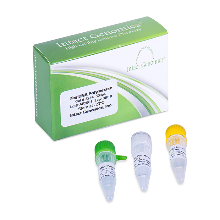 taq dna polymerase