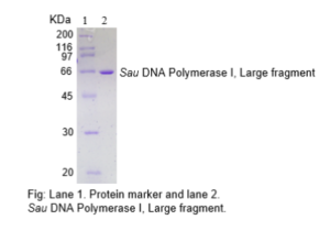 intact genomics