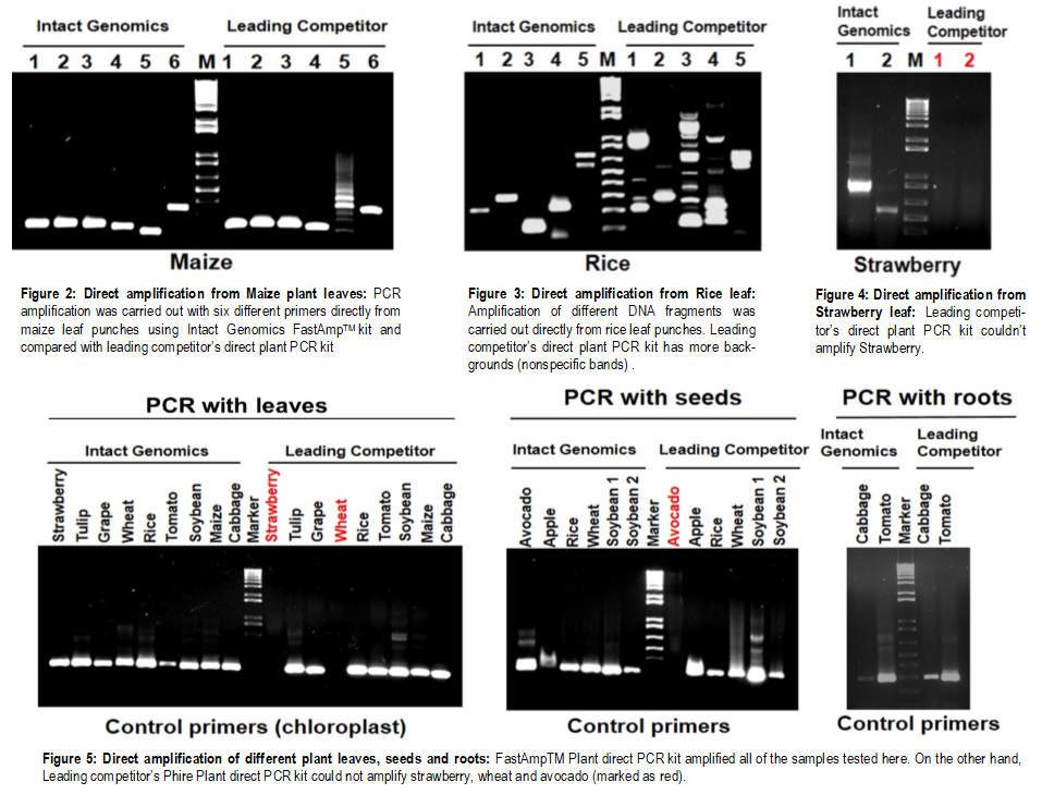 Plant Direct PCR Quality