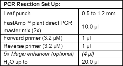 Plant Direct PCR Reaction Setup