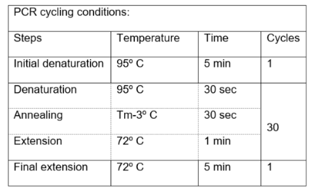 T7 Endonuclease Thermocycling Conditions