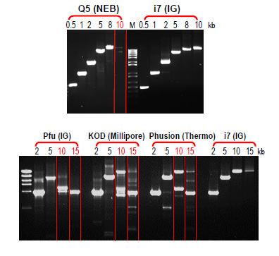 intact genomics