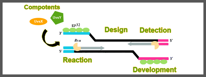 RPA Covid-19