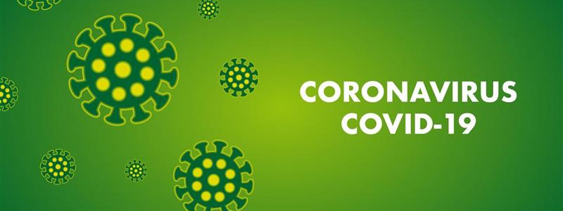 cCOVID19 RT-qPCR