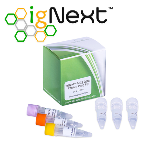 igNext DNA Library Preparation Kit