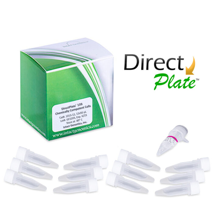Directplate 10B Chemically Competent cells