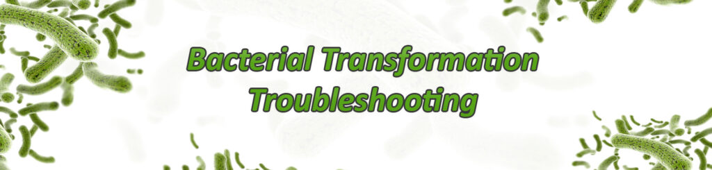 Troubleshooting Bacterial Transformation
